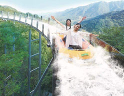 火狐体育全站下载